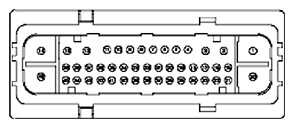G11681871