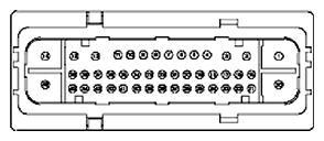 G11681952