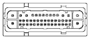 G11681971