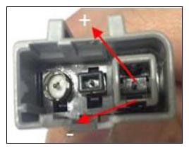 G11766075