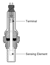 G11784055