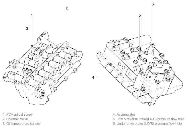 G11784254