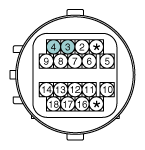 G11784301