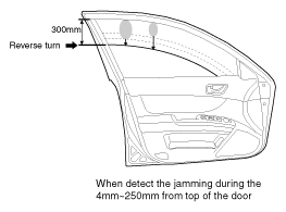 G11786042