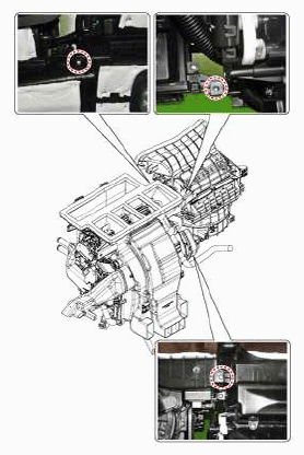 G11793054