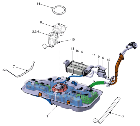 G11793961