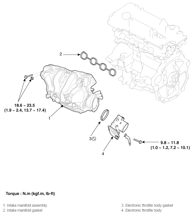 G11794584