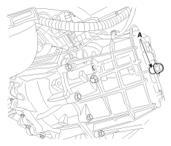 G11795071