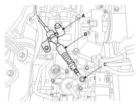G11795340