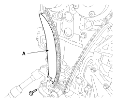 G11796509