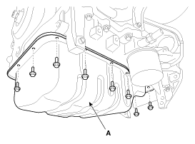 G11796706
