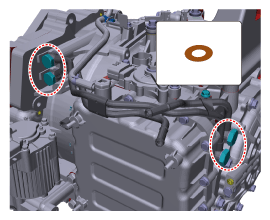 G11816023