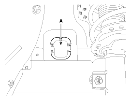 G11845386