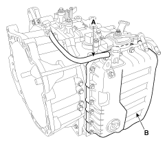 G11845555