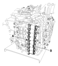 G11845557