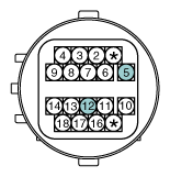 G11856929