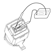 G11857821