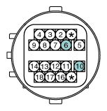 G11865810