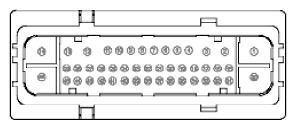 G11915475