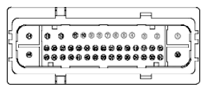 G11915513