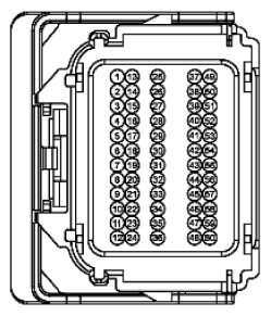 G11915526