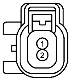 G11915568