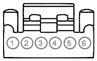 G11915599