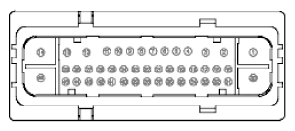 G11915991