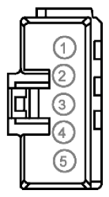 G11916019