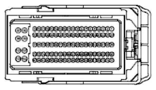 G11916020