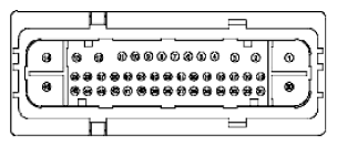 G11916091