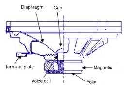 G11934613