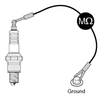 G11949524