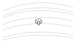 G11953577