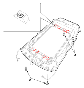 G11954480