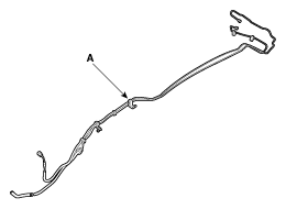 G11955698