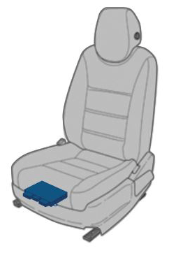 G11981613