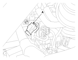 G12055393
