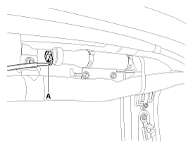 G12089596