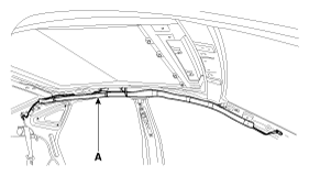 G12089597