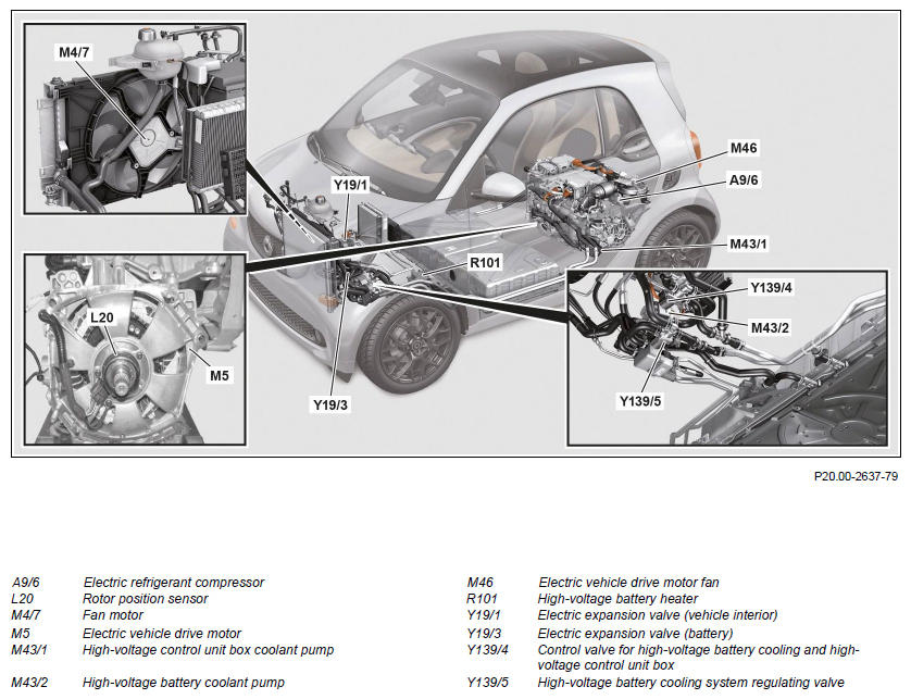 G12094480