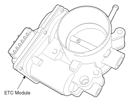G12124763