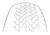 G12125226