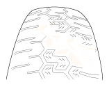 G12125229