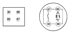 G12129346