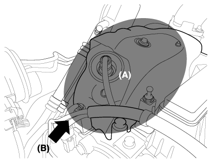G12145825