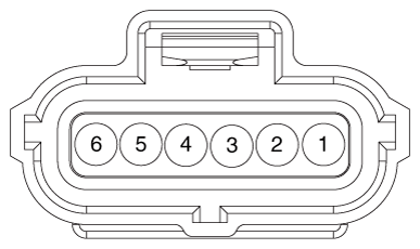 G12146895