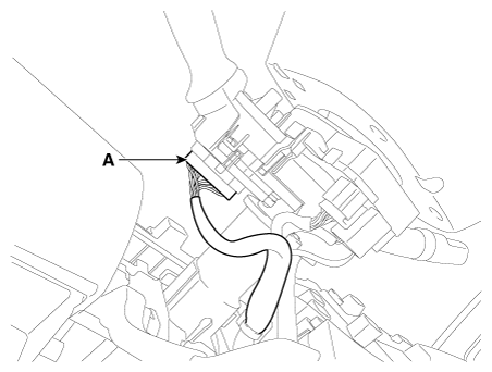 G12164558
