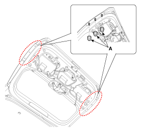 G12226239