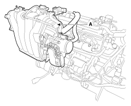 G12226981